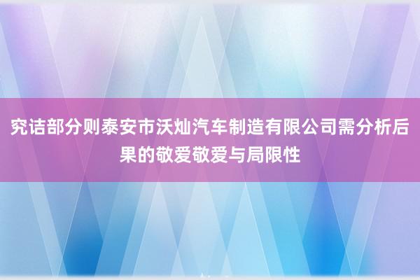 究诘部分则泰安市沃灿汽车制造有限公司需分析后果的敬爱敬爱与局限性